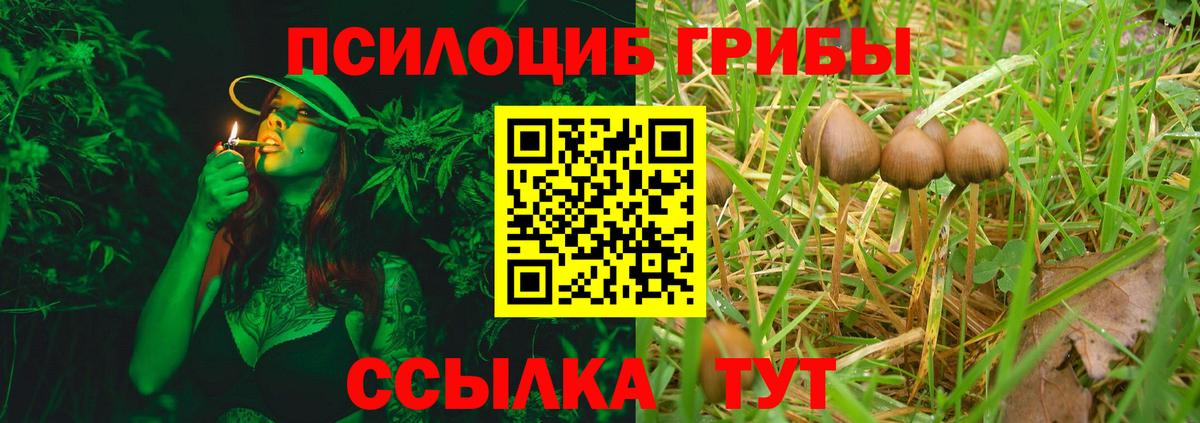 Галлюциногенные грибы Cubensis  Псилоцибиновые грибы MAGIC MUSHROOMS  Вход с VPN  Феодосия 